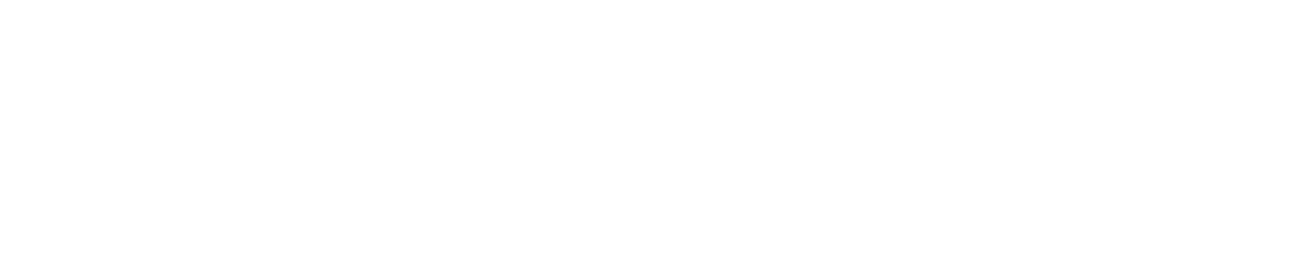 Luzzir
